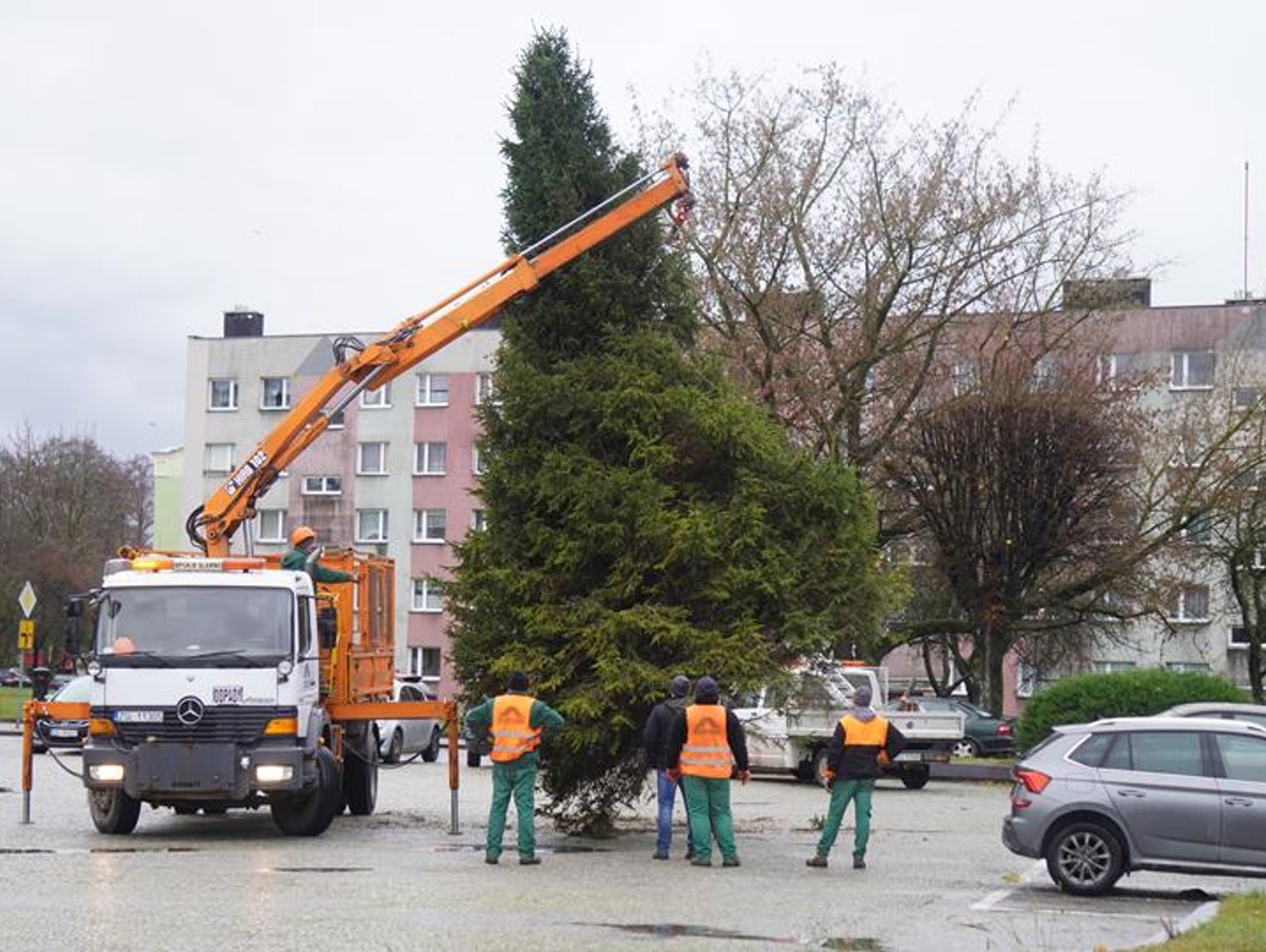 Sławno  Idą święta – już ustawiają świąteczną choinkę