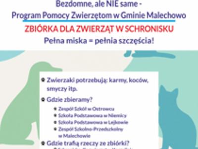 Zbiórka dla zwierząt ze schroniska!