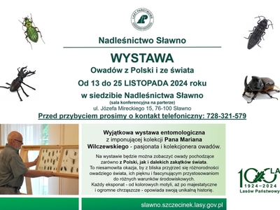 Nadleśnictwo Sławno zaprasza na wystawę owadów z Polski i ze...