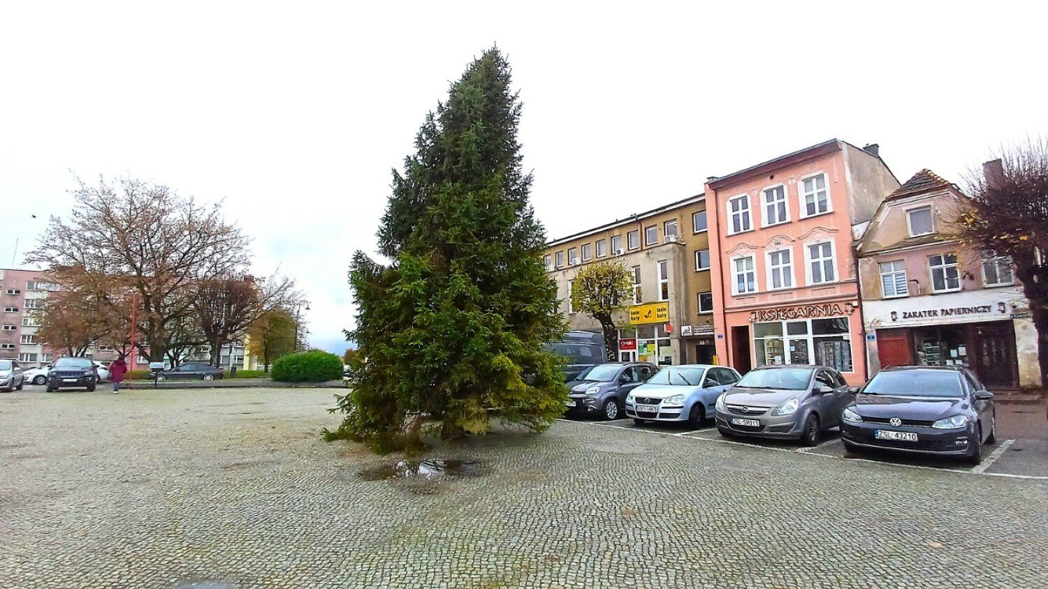 Świąteczna choinka już stanęła w Sławnie. Zdjęcia - szykują się...