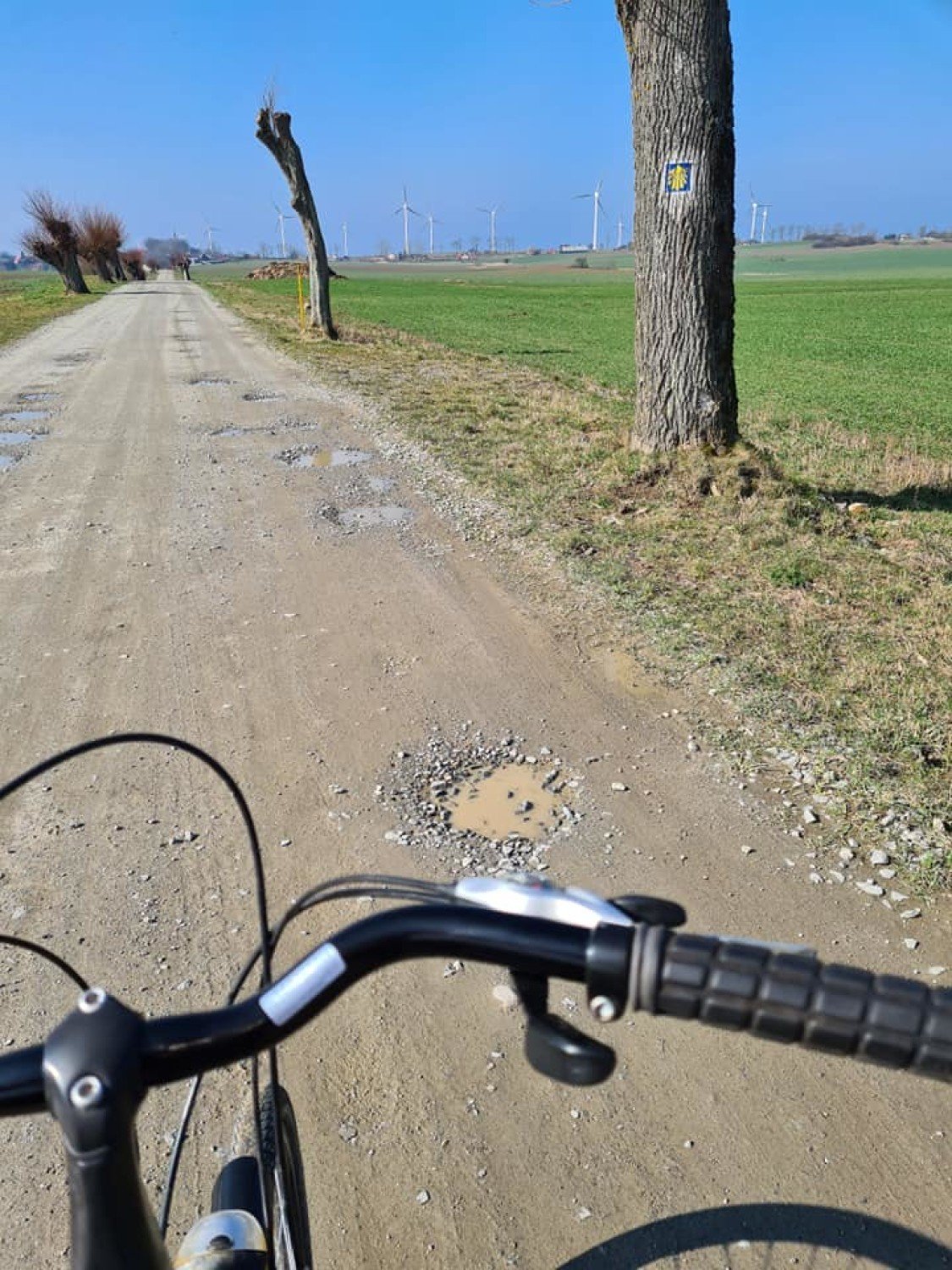 Nad Bałtykiem w gminie Darłowo fajna trasa rowerowa na majówkę. Zdjęcia