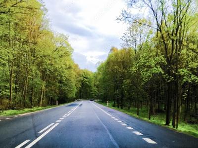 Aukcja - sprzedaż drewna z wycinką drzew rosnących przy drogach...